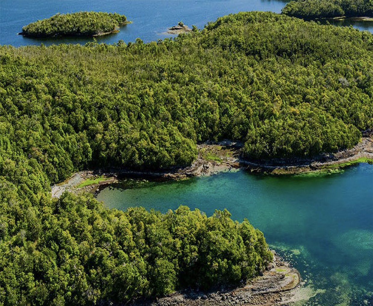 Costa de Isla Virgen — 240 km de litoral en la Patagonia chilena